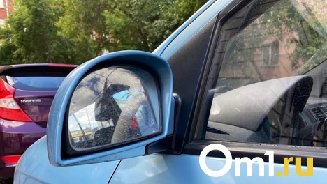 С начала лета в Омске наказали 500 водителей за парковку на газонах