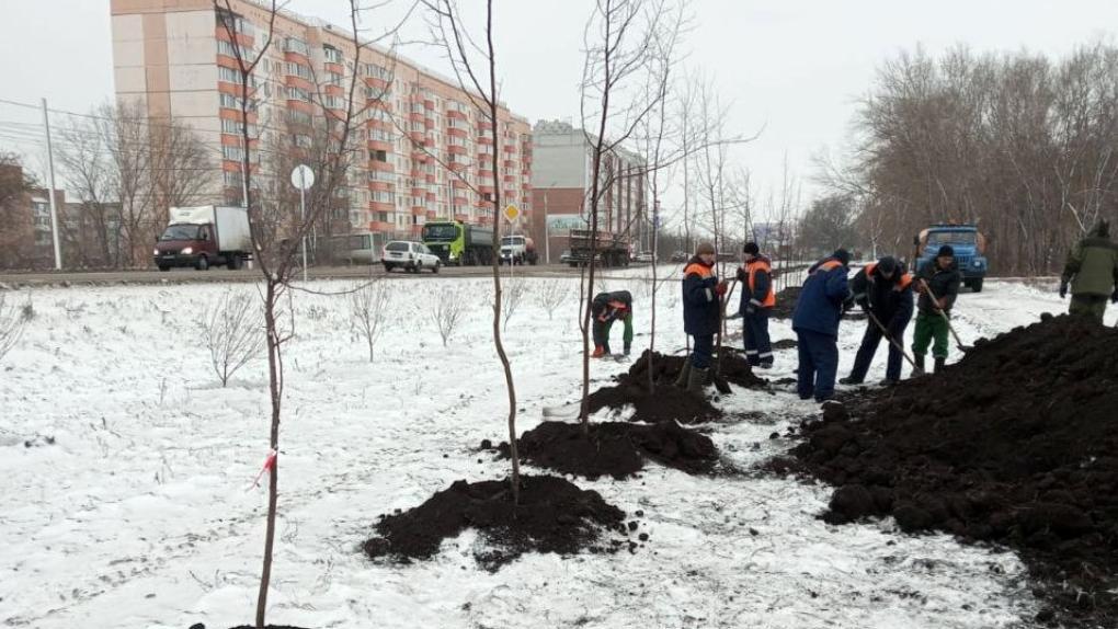 Сергей Шелест рассказал, как прошло озеленение города в этом году