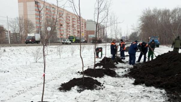 Сергей Шелест рассказал, как прошло озеленение города в этом году