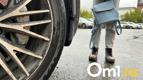 Под Омском поймали несовершеннолетнюю девушку, путешествующую автостопом из Абакана в Краснодар