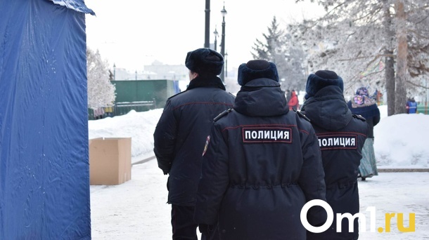 В Новосибирской области завершили поиски пропавшей 9-летней девочки