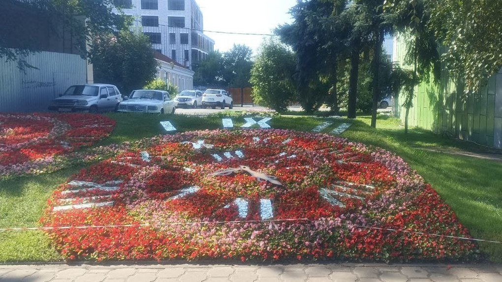 Сергей Шелест рассказал, что на «Флоре» в этом году омичам представят в два раза больше живых цветов