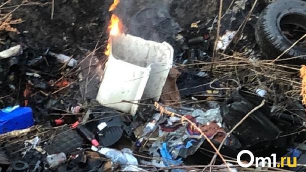В Омской области убрали незаконную свалку после жалобы Генпрокурору РФ