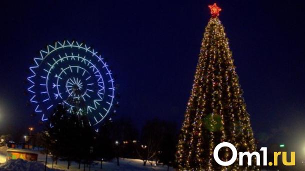 Новосибирск предлагает: идеи для новогодних каникул с детьми