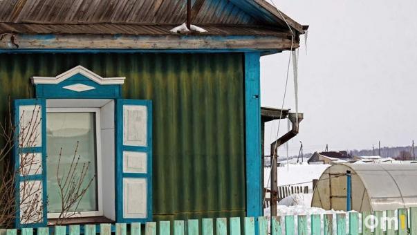 Омич оборудовал в подвале частного дома теплицу и выращивал коноплю