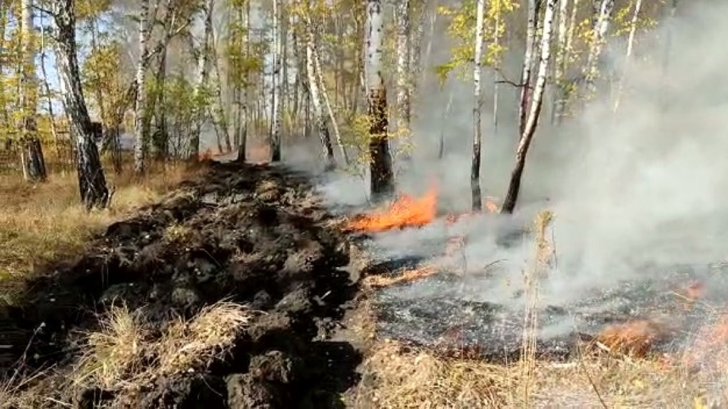 В Омской области произошёл ещё один пожар в лесу из-за непотушенного окурка