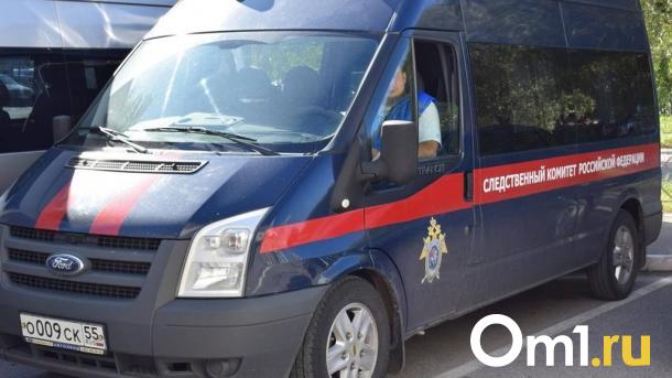 Следователи возбудили уголовное дело по факту исчезновения 19-летней омички