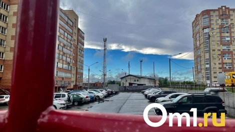 В Омске нашли автовора, который грабил машины на Левобережье