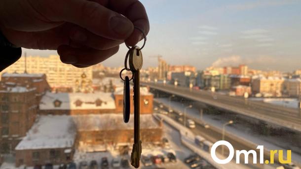 Сокращение числа риелторов в Омске: что происходит на рынке недвижимости