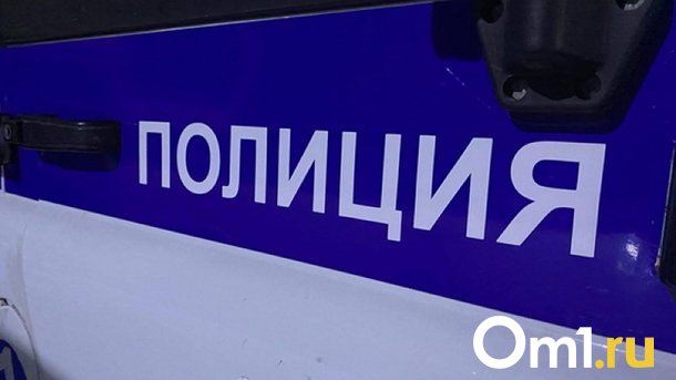 Одну из омских школьниц, которые подрались в Калачинске, поставили на учёт