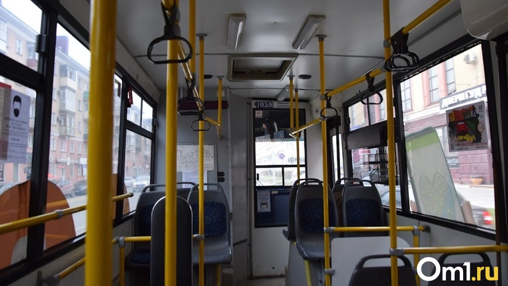 К Новому году в Омске появятся 20 новых экологичных автобусов