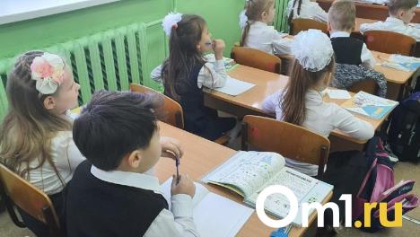 В омских школах ввели новый учебный предмет