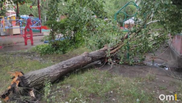 В Омске из-за урагана дерево упало прямо на игровую площадку детского сада