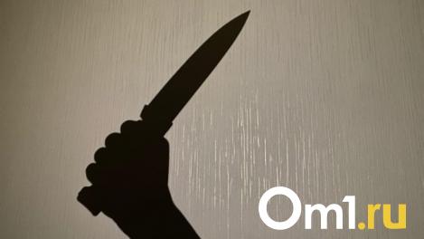 В Кемерове мужчина с вентилятором ограбил киоск и ранил продавщицу