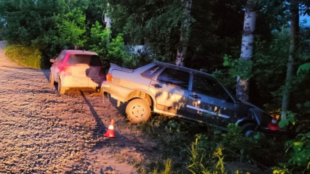 Пьяный водитель ВАЗ сбил в Новосибирске двух девочек и врезался в дерево