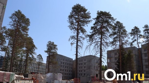 Жителей Новосибирска просят поделиться мнением о благоустройстве кампуса НГУ