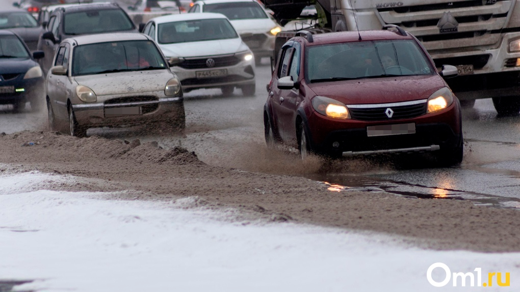 В Новосибирске ввели режим чрезвычайной ситуации из-за снегопадов