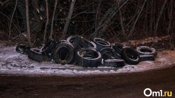 В Омске за месяц в три раза вырос спрос на летнюю резину