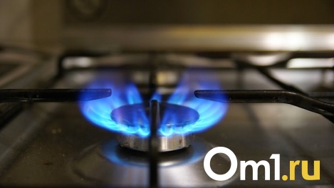 Из Омска может протянуться газопровод в Казахстан и Китай
