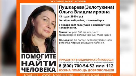 Женщина в домашних тапочках в морозы пропала в Новосибирске