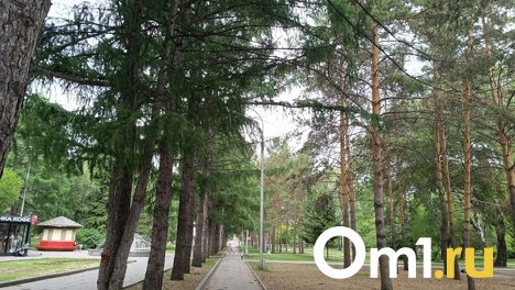 Обновлённую площадь перед Нарымским сквером в Новосибирске откроют в конце октября