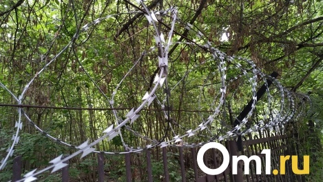 В Омской области трёх молодых сельчан накажут за вандализм в Калачинске