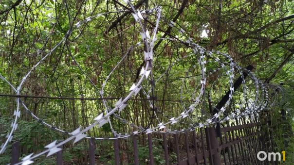 В Омской области трёх молодых сельчан накажут за вандализм в Калачинске