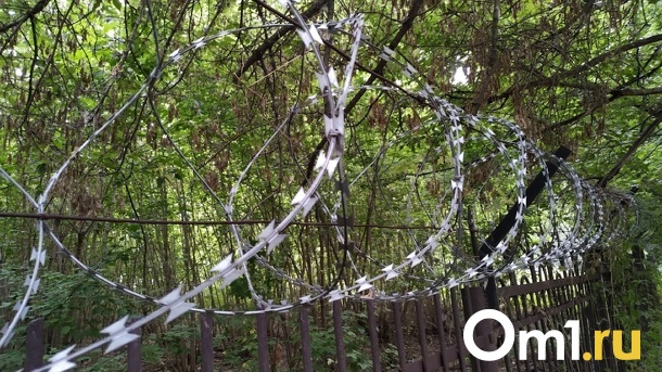 В Омской области трёх молодых сельчан накажут за вандализм в Калачинске
