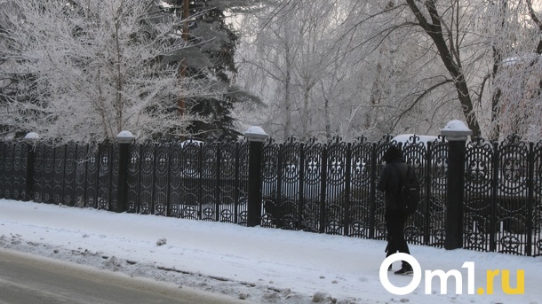 На январских каникулах в Омск придёт потепление