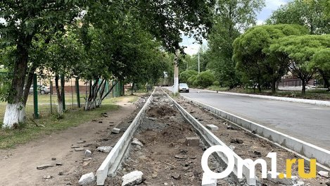 Омич протестует против тротуара из щебня