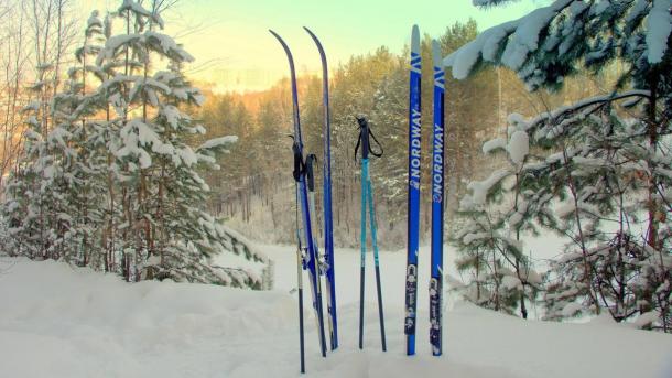 Лыжня России стартовала 8 февраля в новосибирском Академгородке