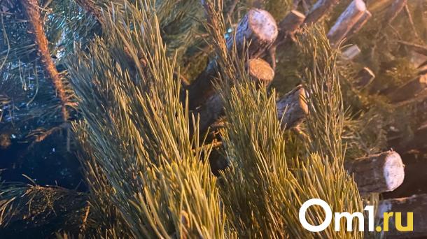 Большереченский зоопарк отказался от приёма ёлок после праздников
