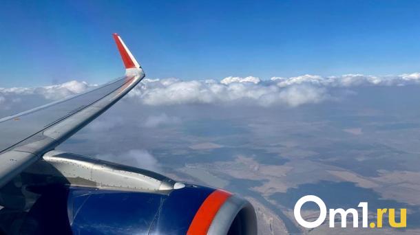 В мае из Омска запустят субсидированные рейсы в Горно-Алтайск