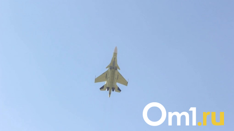 Истребители Су-30 и Су-35 в составе группы «Русские витязи» заметили над Новосибирском