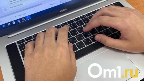 Мошенники оставили омича без денег с помощью удалённого доступа