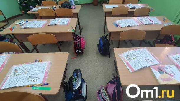 Омскую школу, где один ученик бил другого, проверит следком