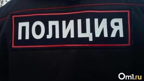 Бил в грудь и ломал руку. Омичу дали два года «строгача» за нападение на полицейского