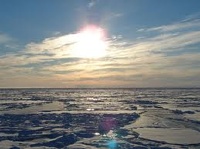 Канада заявила, что может и будет сотрудничать с Россией в Арктике