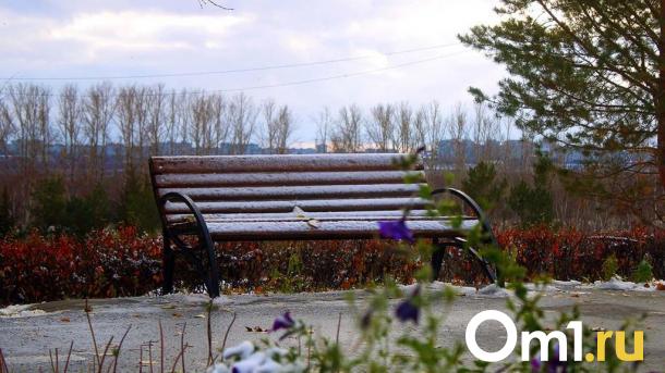 Сквер напротив омского политеха благоустроят за 34 миллиона