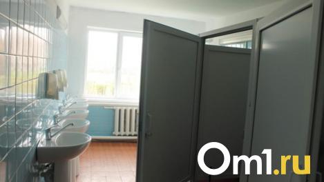 В Новосибирске спасатели вызволили студентку из туалетного плена