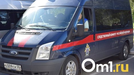 Бастрыкин затребовал доклад по уголовному делу о смерти мужчины в Новосибирске