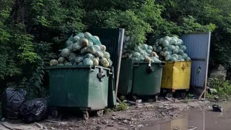 «Магнит» набирает на подработку инспекторов по контролю за вывозом мусора