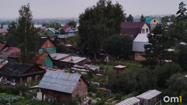 Агроном Шубина предупредила новосибирцев о возможной гибели половины урожая картофеля