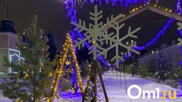 Главная городская ёлка в Омске будет установлена на площади у цирка