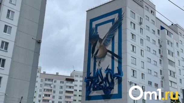В Омске появится туристический маршрут по муралам
