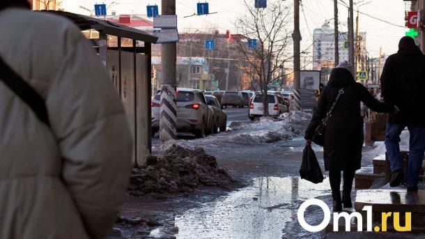 Аномальное потепление в Омске вскоре сменится морозами