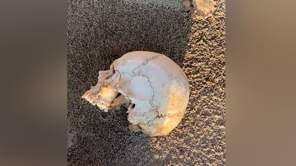 Страшная находка: древние черепа и кости обнаружили на пляже под Новосибирском