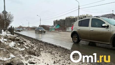 Синоптики назвали сроки, когда Омск поплывёт