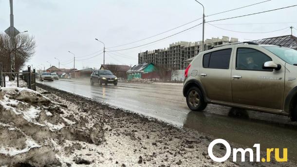 Синоптики назвали сроки, когда Омск поплывёт