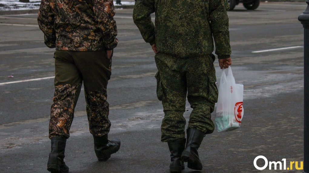 В Омске военнослужащего оштрафовали на 320 тысяч рублей за поездку на автомобиле